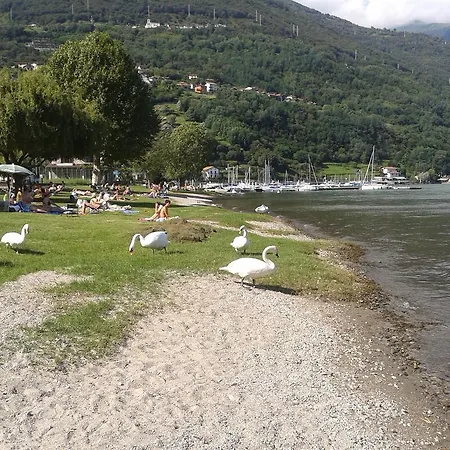 My Holidays - Eden *