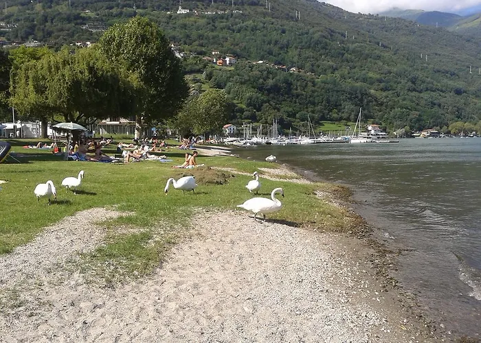 My Holidays - Eden *